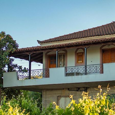 Anastasia Apartments โคโรนิ ภายนอก รูปภาพ